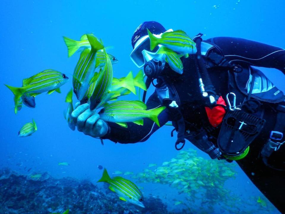 ホテル Salary Bay Tsifota エクステリア 写真
